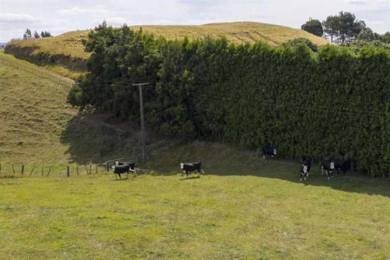 Photo of property in 160 Pukemapu Road, Oropi, Tauranga, 3173