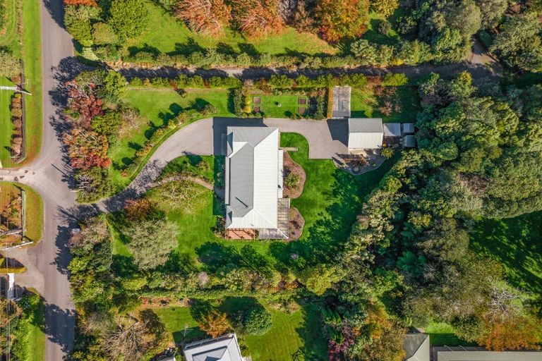 Photo of property in 31 Udy Street, Greytown, 5712