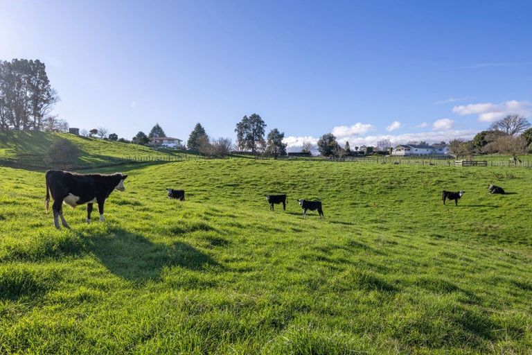 Photo of property in 4953 Ohaupo Road, Te Awamutu, 3879