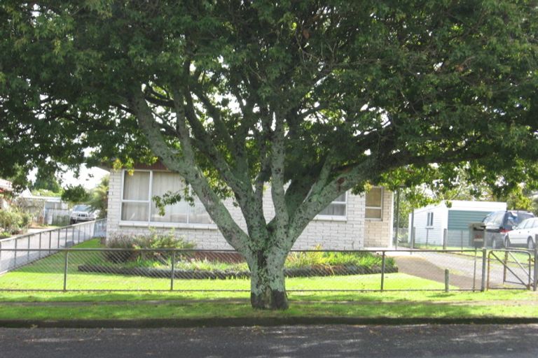 Photo of property in 20 Station Street, Tirau, 3410