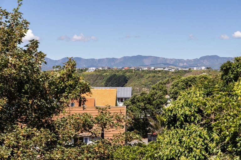 Photo of property in 122 Te Anau Road, Hataitai, Wellington, 6021