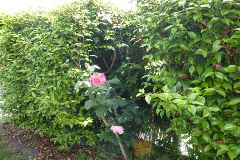 Photo of property in 2/32 Brittan Street, Linwood, Christchurch, 8011