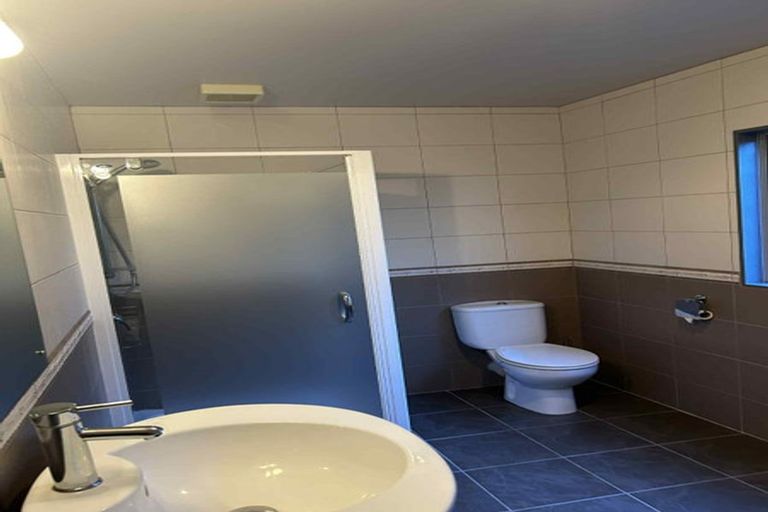 Photo of property in 14 Bush View Lane, Northcote Point, Auckland, 0627