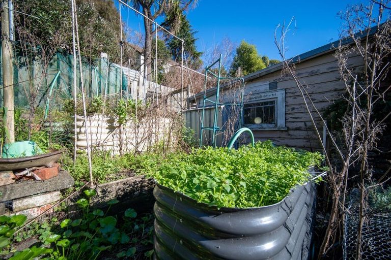 Photo of property in 1 Brook Terrace, The Brook, Nelson, 7010