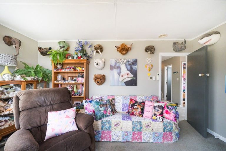 Photo of property in 114 Stanford Street North, Ashhurst, 4810