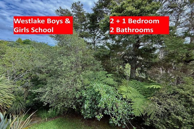 Photo of property in 1/112 Coronation Road, Hillcrest, Auckland, 0627
