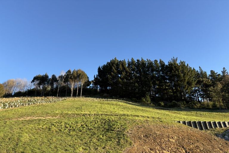 Photo of property in 24 Skylark Rise, Todds Valley, Nelson, 7071