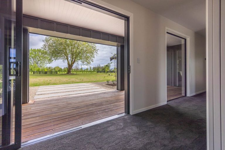 Photo of property in 7 Orchard Place, Matamata, 3472