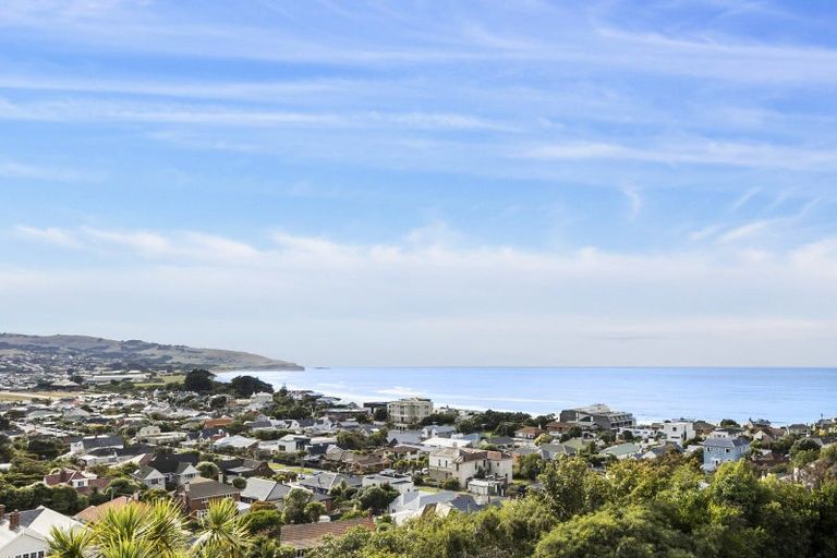 Photo of property in 46a Norfolk Street, Saint Clair, Dunedin, 9012