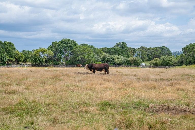 Photo of property in 123 Muir Avenue, Mangere Bridge, Auckland, 2022