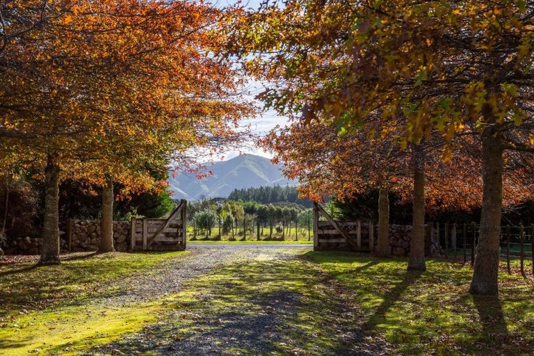 Photo of property in 881a Norfolk Road, Upper Plain, Carterton, 5791