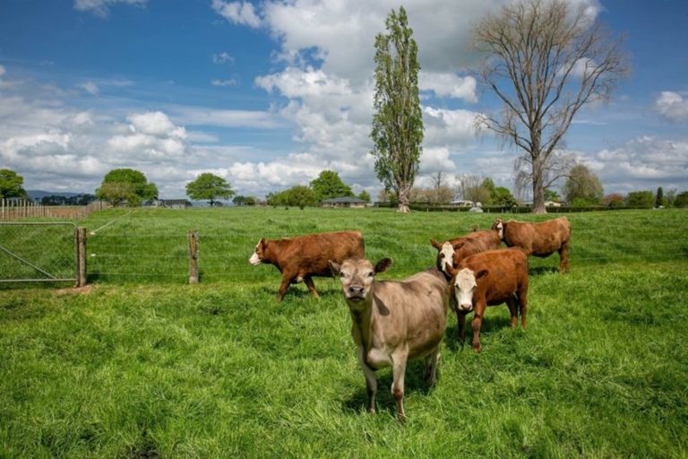 Photo of property in 95 Taihoa Road South, Matamata, 3473