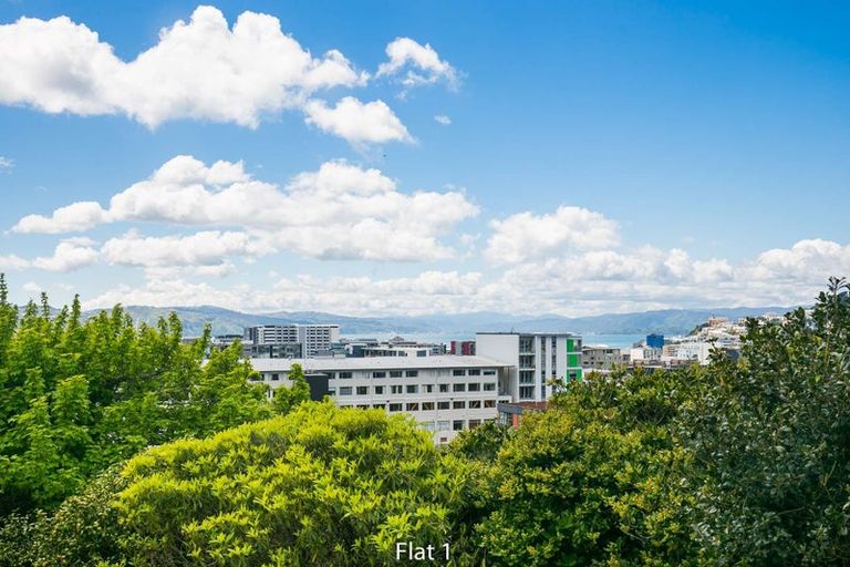 Photo of property in 33a Thompson Street, Mount Cook, Wellington, 6011