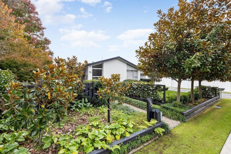 Photo of property in 78 Princes Street, Cambridge, 3434