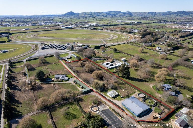 Photo of property in 49 Racecourse Road, Cambridge, 3493