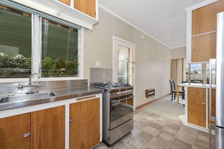 Photo of property in 19 Beale Street, Hamilton East, Hamilton, 3216