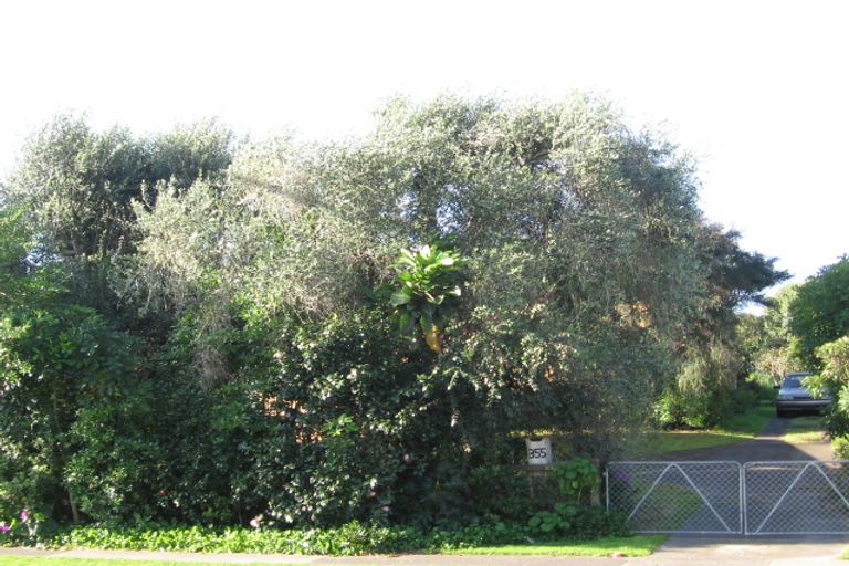 Photo of property in 355a Oceanbeach Road, Mount Maunganui, 3116