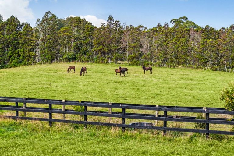 Photo of property in 145 Hanham Road, Kumeu, 0891