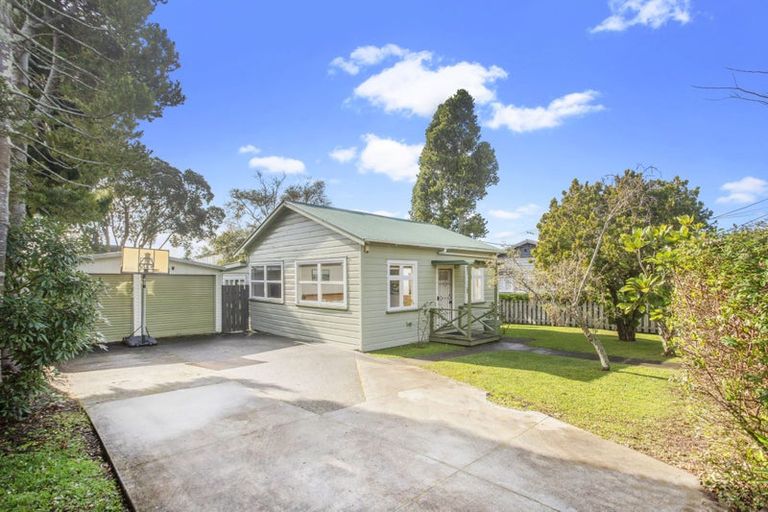 Photo of property in 19 Rimu Street, New Lynn, Auckland, 0600