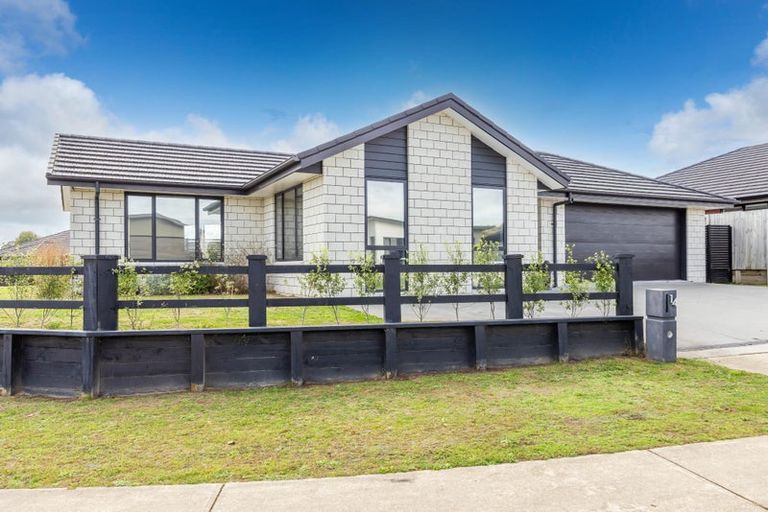 Photo of property in 14 Rangawhenua Street, Ngaruawahia, Hamilton, 3288