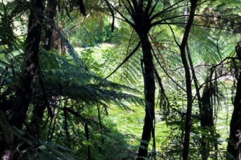 Photo of property in 1b Motuhora Rise, Whakatane, 3120