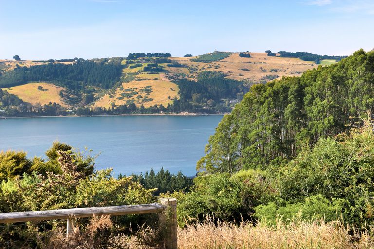 Photo of property in 65 Kakapo Street, Saint Leonards, Dunedin, 9022