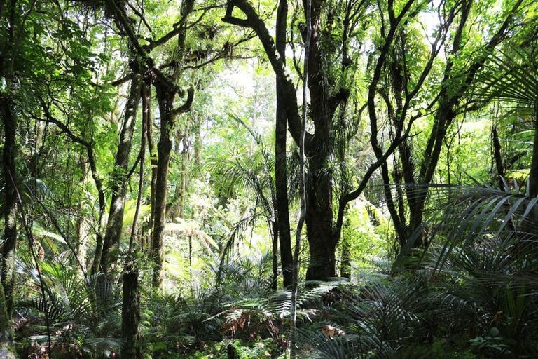 Photo of property in 1052 Wekaweka Road, Waimamaku, Kaikohe, 0473