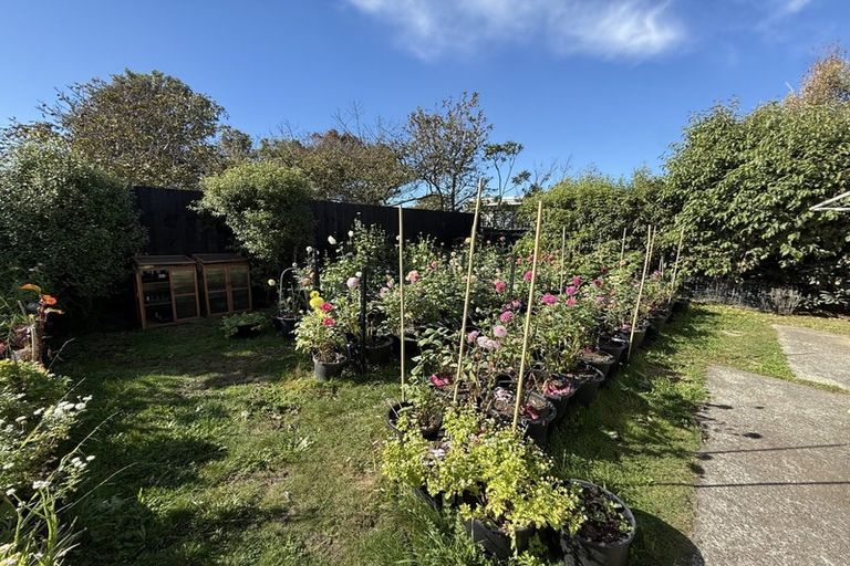 Photo of property in 297 Pine Avenue, South New Brighton, Christchurch, 8062