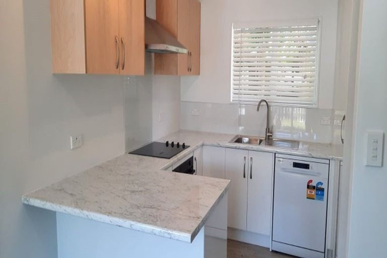 Photo of property in 55f1 Hamilton Road, Hataitai, Wellington, 6021