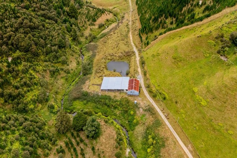 Photo of property in 568 Matau Road North, Matau, Stratford, 4395