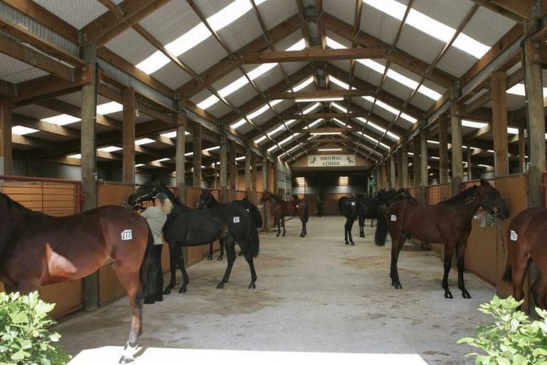 Photo of property in 816 Springs Road, Prebbleton, Christchurch, 7676