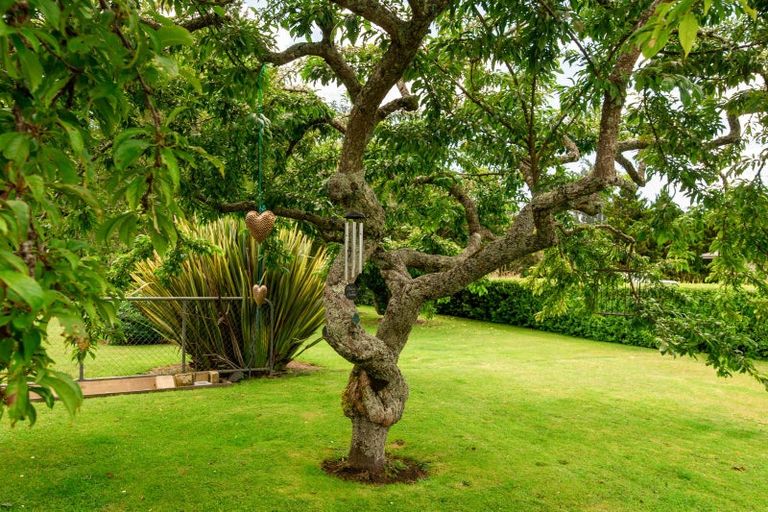 Photo of property in 36 Dumfries Road, Tokoroa, 3420