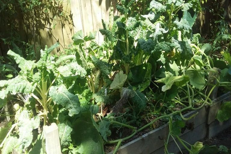 Photo of property in 6 Nettlingham Place, Te Puke, 3119