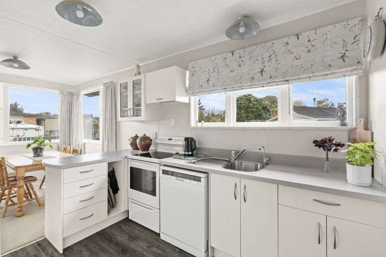 Photo of property in 117 Pukepapa Road, Marton, 4710