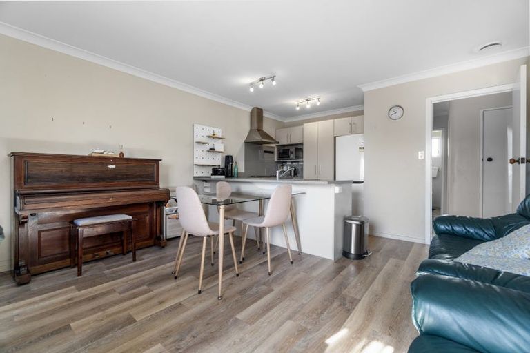 Photo of property in 219u3 Killarney Road, Frankton, Hamilton, 3204
