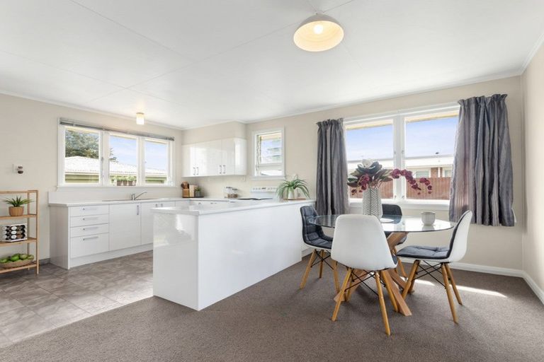 Photo of property in 19 Hale Street, Blenheim, 7201