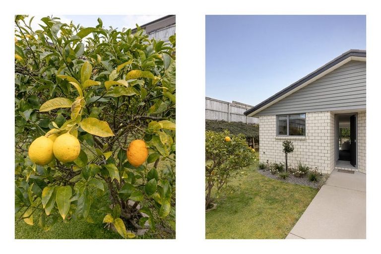 Photo of property in Waterview Estate, 2/4 Greystone Place, Omokoroa, 3114