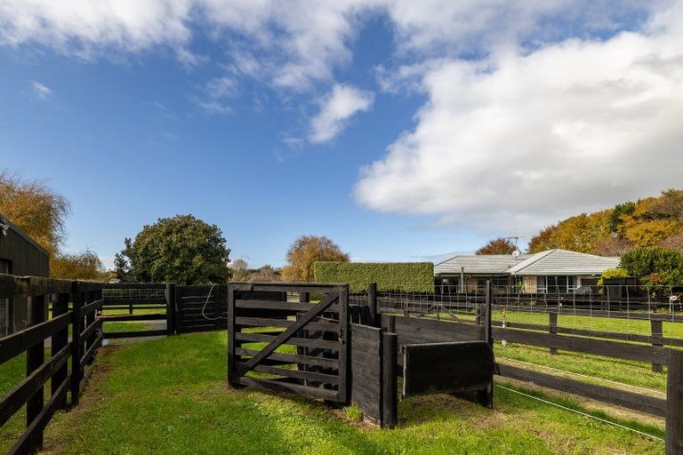 Photo of property in 204 Racecourse Road, Cambridge, 3493