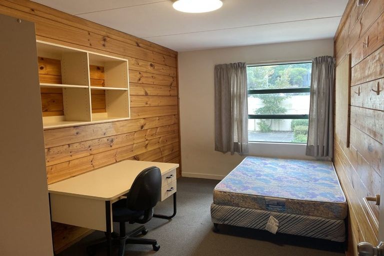 Photo of property in Te Awhina Apartments, 27/22u Sussex Street, Mount Cook, Wellington, 6021