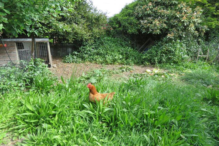 Photo of property in 71 Hally Terrace, Temuka, 7920