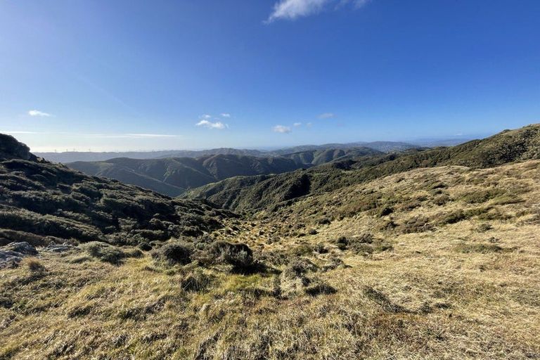 Photo of property in Long Gully Farm, 500 Hawkins Hill Road, Brooklyn, Wellington, 6021