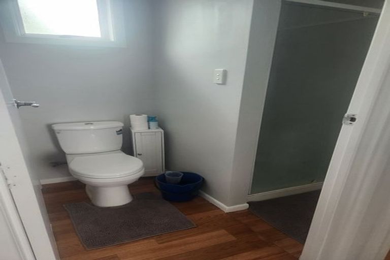 Photo of property in 80 Tiraumea Drive, Pakuranga, Auckland, 2010