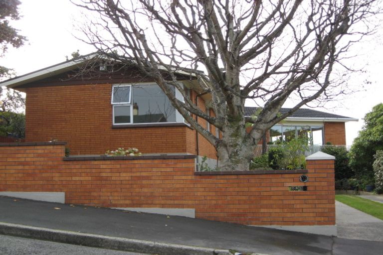 Photo of property in 11 Selkirk Street, Roslyn, Dunedin, 9010