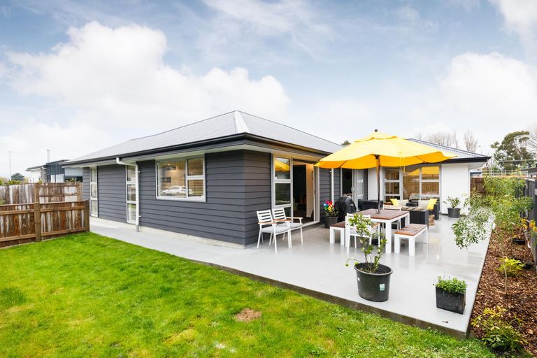 Photo of property in 51 Dahlia Street, Palmerston North, 4410