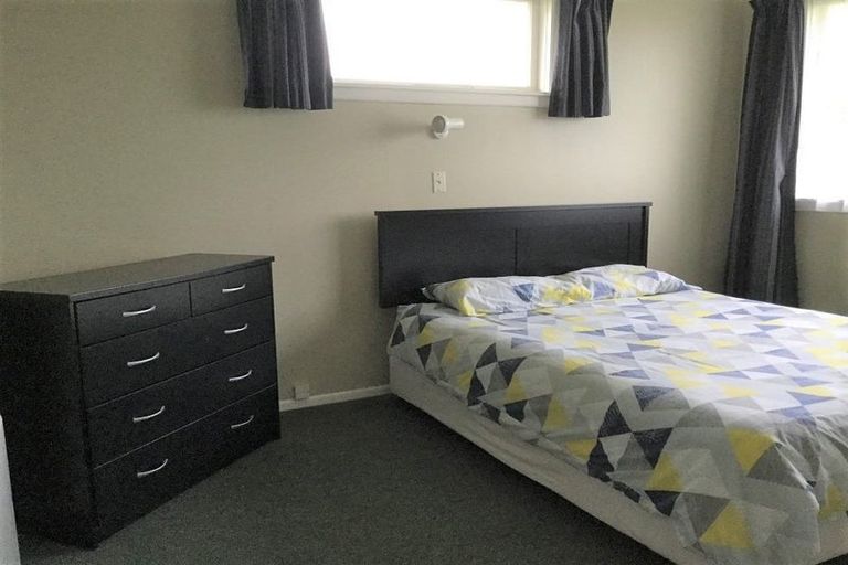 Photo of property in 16 Graham Street, Levin, 5510