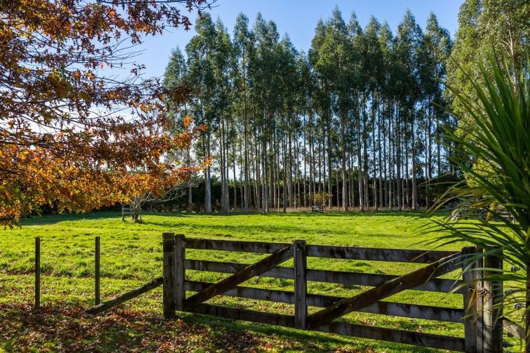 Photo of property in 881a Norfolk Road, Upper Plain, Carterton, 5791