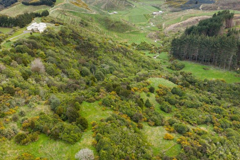 Photo of property in 186 Harrison Hill Road, Aokautere, Palmerston North, 4471