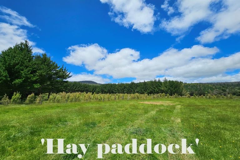 Photo of property in 1296 Wekaweka Road, Waimamaku, Kaikohe, 0473