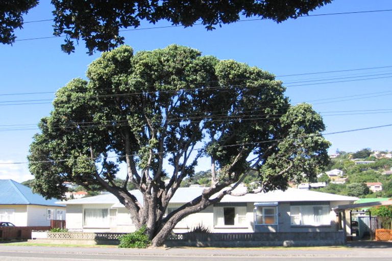 Photo of property in 84f5 Park Road, Miramar, Wellington, 6022