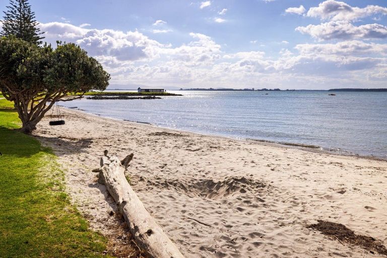 Photo of property in 81b Kulim Avenue, Otumoetai, Tauranga, 3110